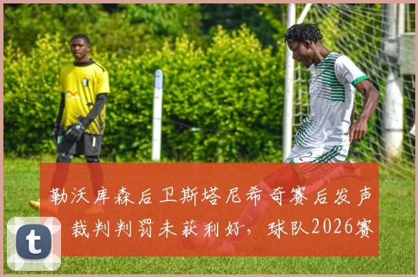 勒沃库森后卫斯塔尼希奇赛后发声：裁判判罚未获利好，球队2026赛季运气欠佳，关键战失利原因深度剖析