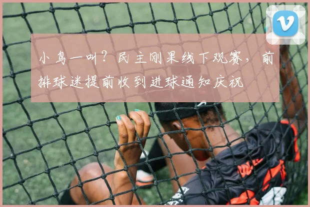 小鸟一叫?民主刚果线下观赛,前排球迷提前收到进球通知庆祝