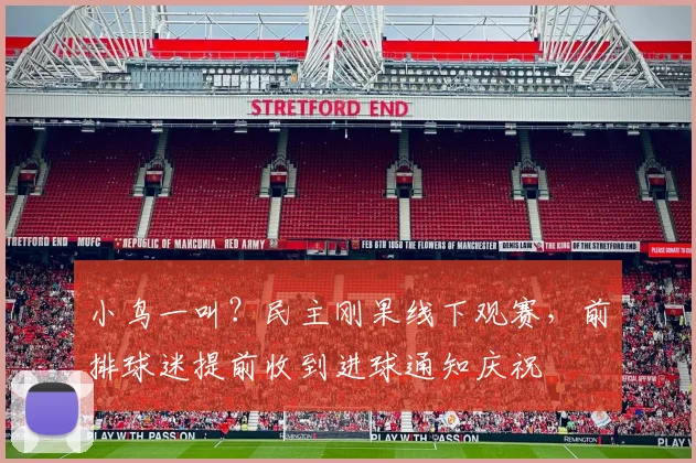 小鸟一叫？民主刚果线下观赛，前排球迷提前收到进球通知庆祝